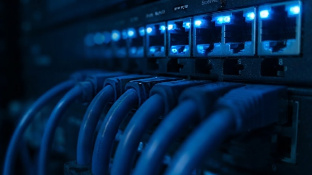 Patchera de red con cables conectados